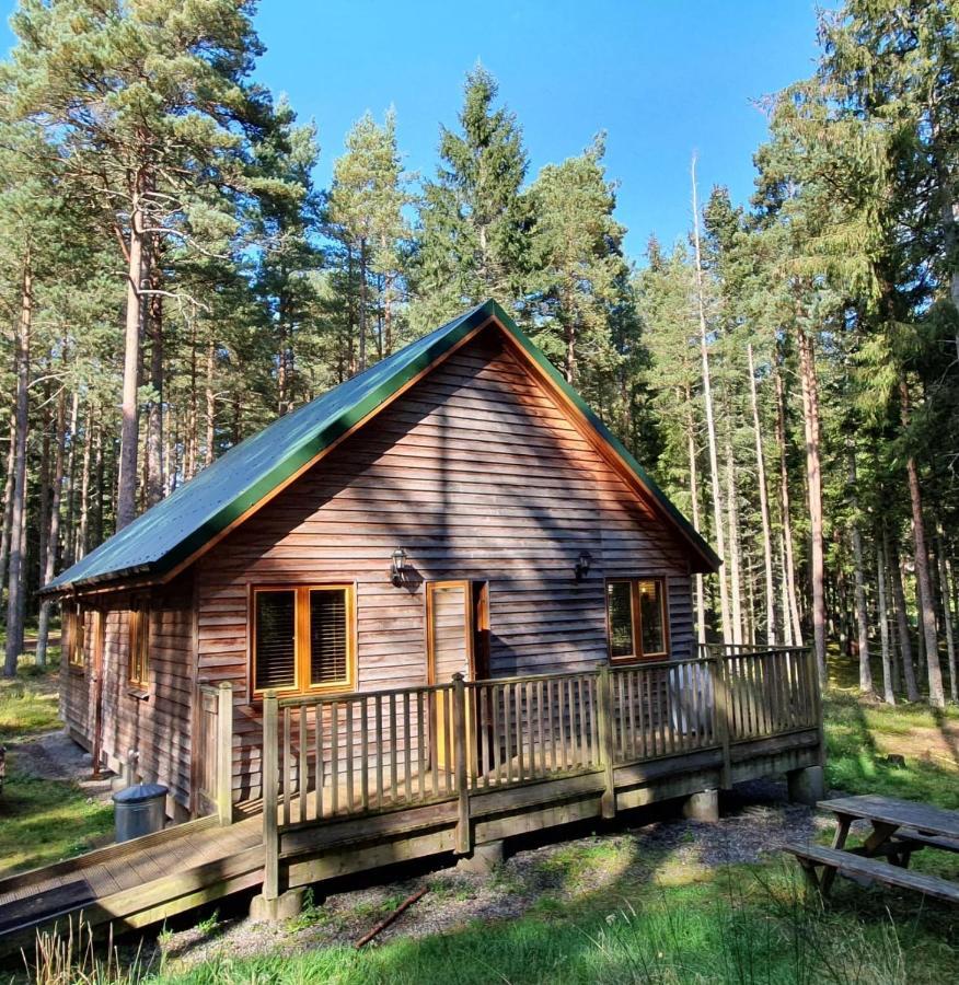Cairngorm Lodges Aboyne Exteriör bild