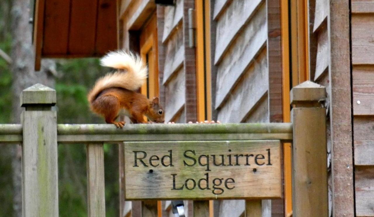 Cairngorm Lodges Aboyne Exteriör bild