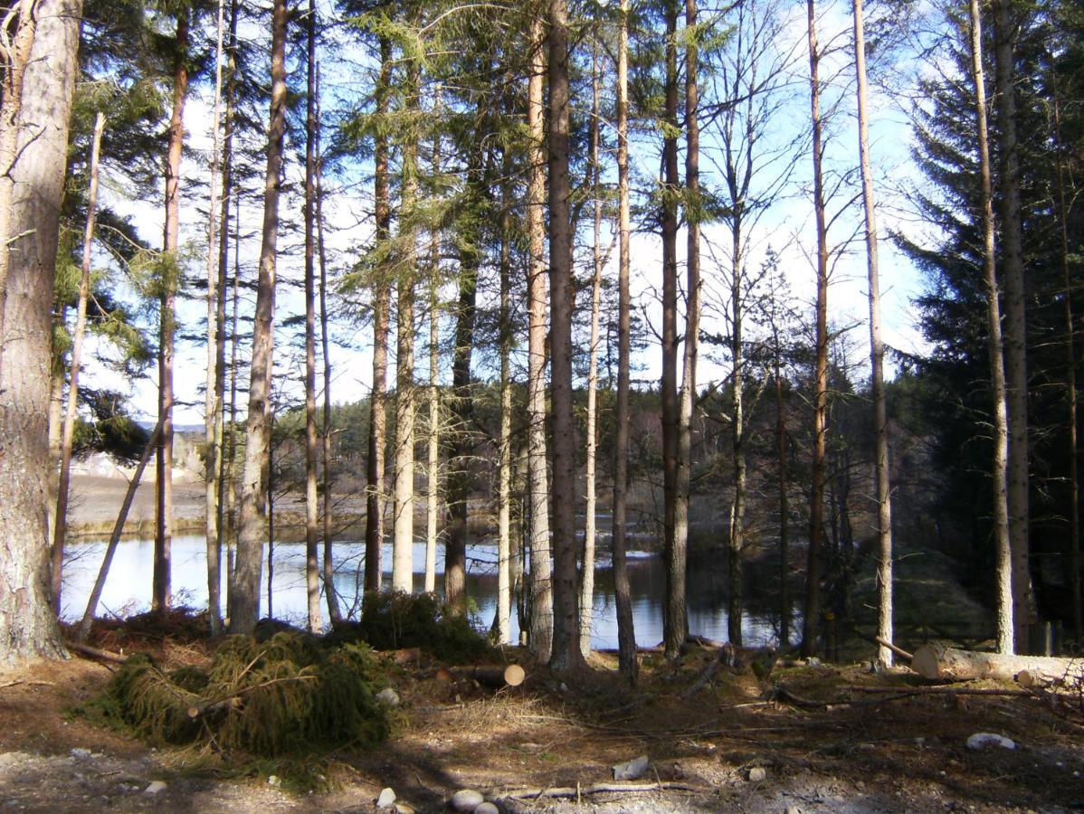 Cairngorm Lodges Aboyne Exteriör bild