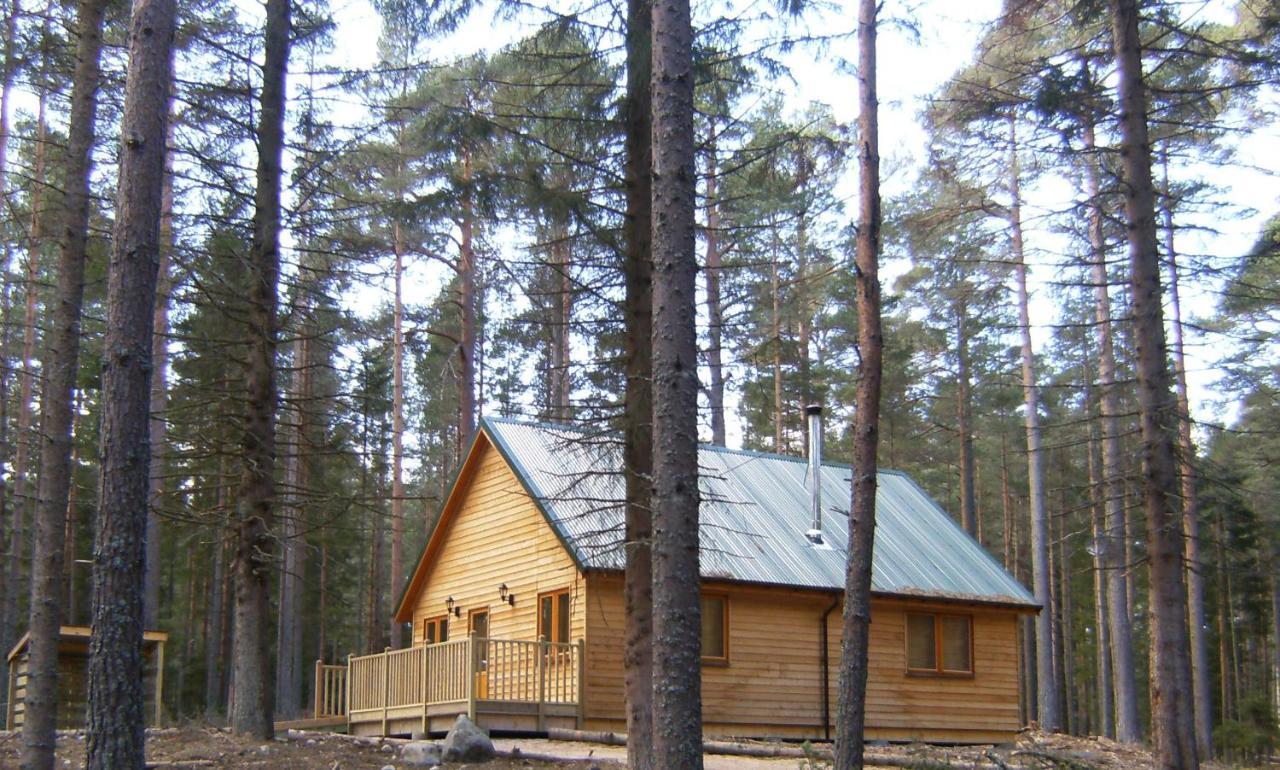 Cairngorm Lodges Aboyne Exteriör bild