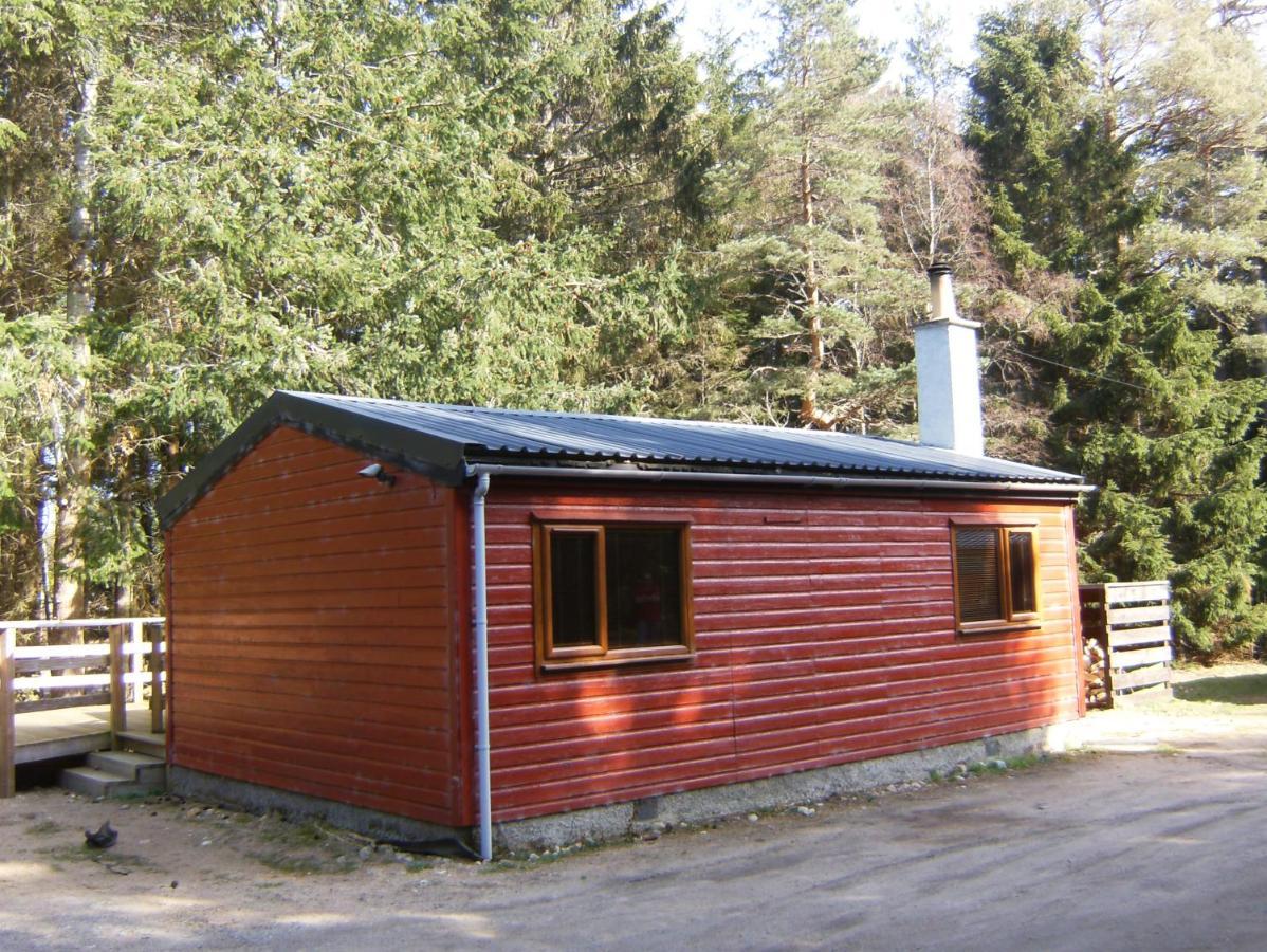 Cairngorm Lodges Aboyne Exteriör bild