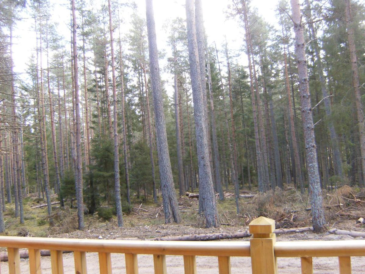 Cairngorm Lodges Aboyne Exteriör bild