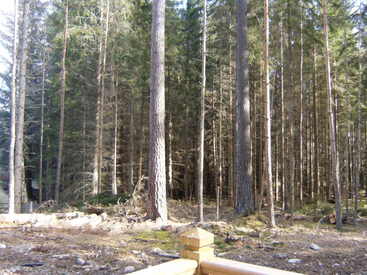 Cairngorm Lodges Aboyne Exteriör bild