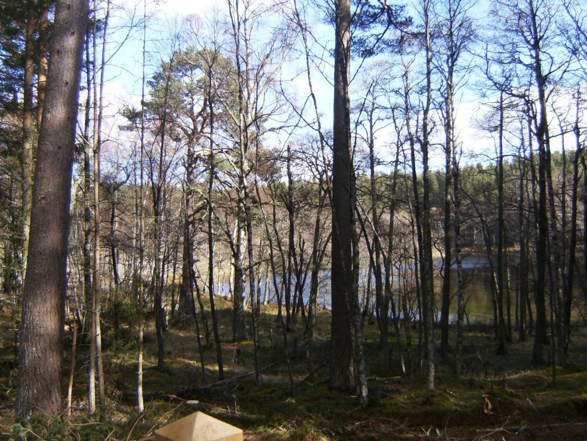 Cairngorm Lodges Aboyne Exteriör bild