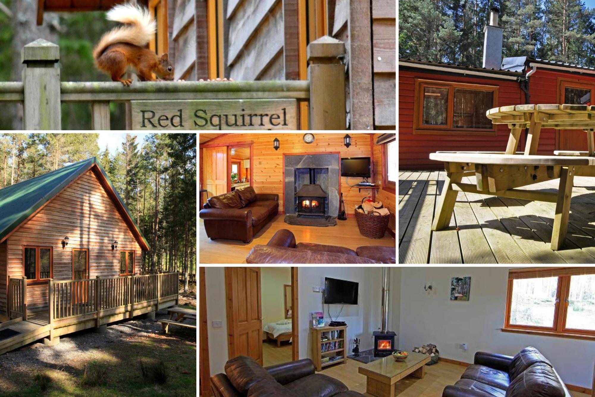 Cairngorm Lodges Aboyne Exteriör bild