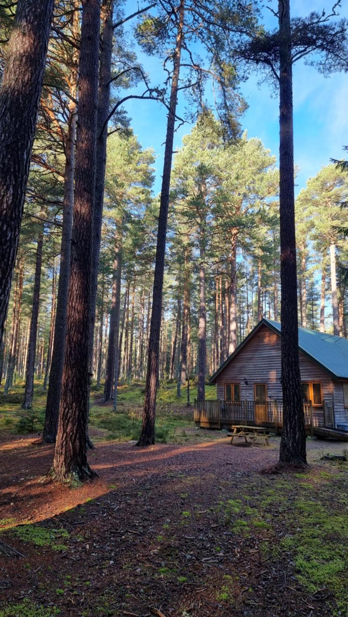 Cairngorm Lodges Aboyne Exteriör bild