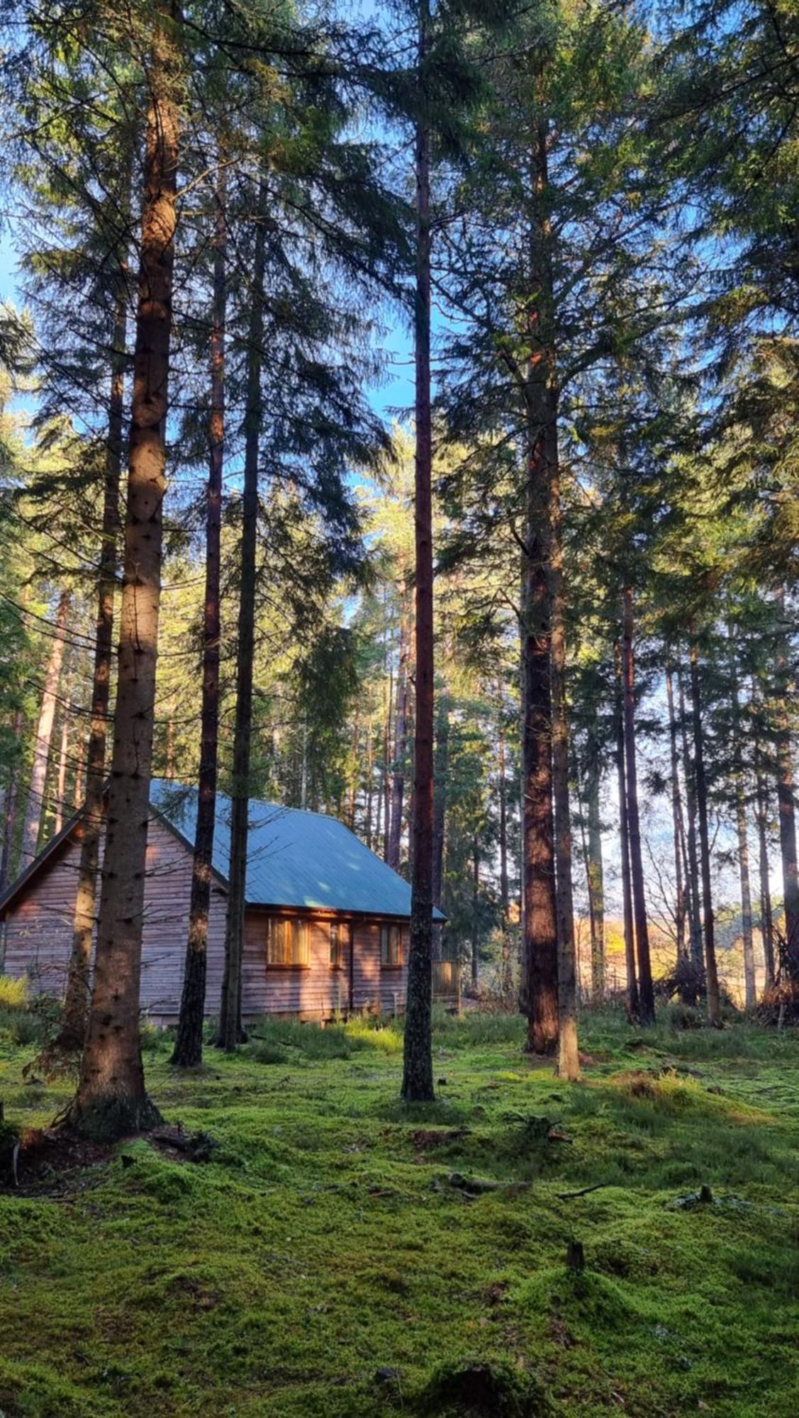Cairngorm Lodges Aboyne Exteriör bild