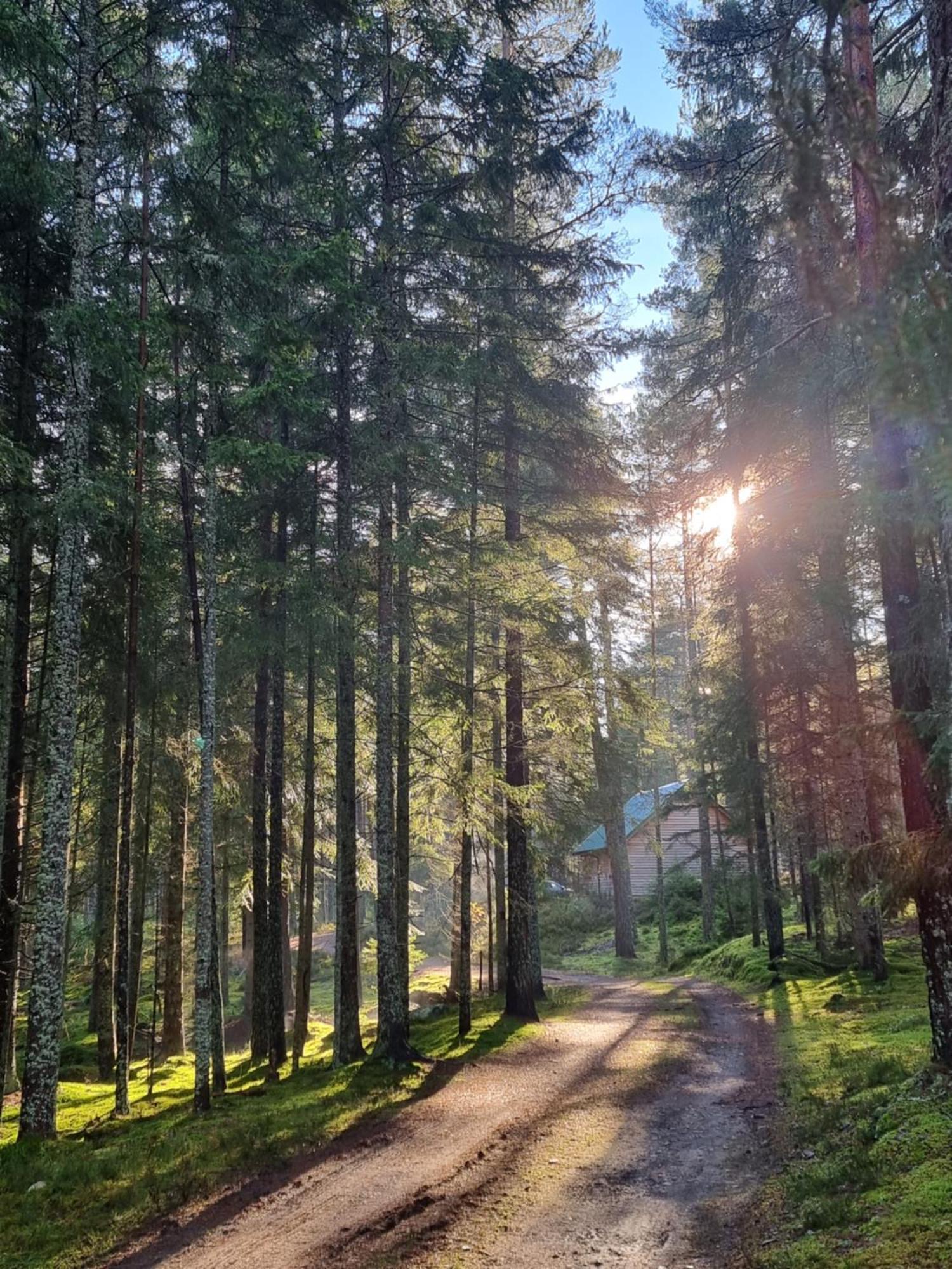 Cairngorm Lodges Aboyne Exteriör bild