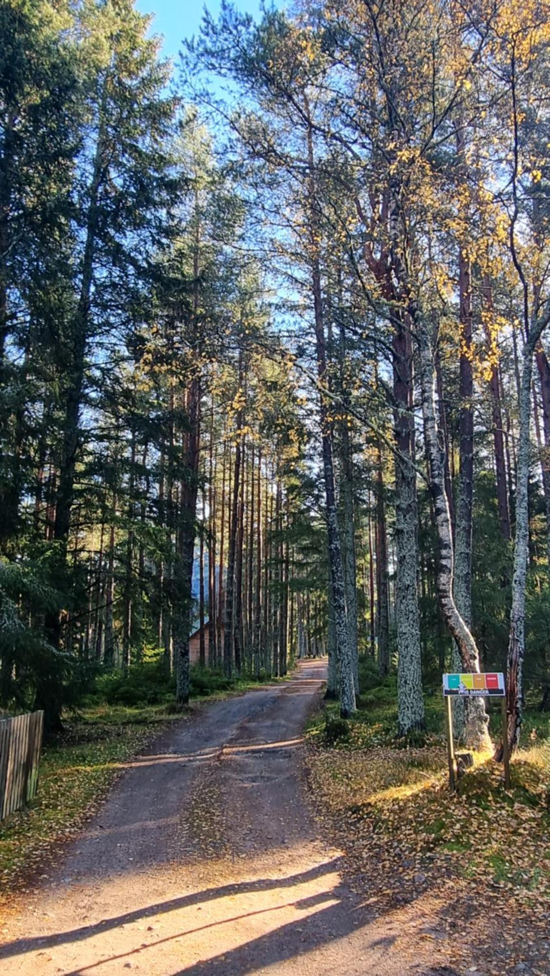 Cairngorm Lodges Aboyne Exteriör bild
